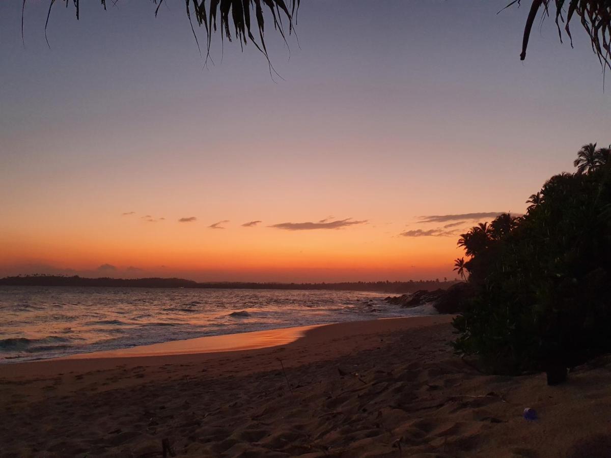 Into The Blue - Yoga Included & Walk To 3 Beaches 坦加拉 外观 照片
