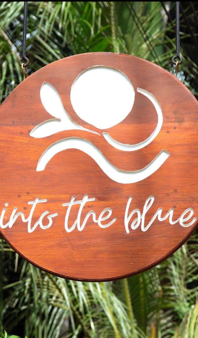 Into The Blue - Yoga Included & Walk To 3 Beaches 坦加拉 外观 照片