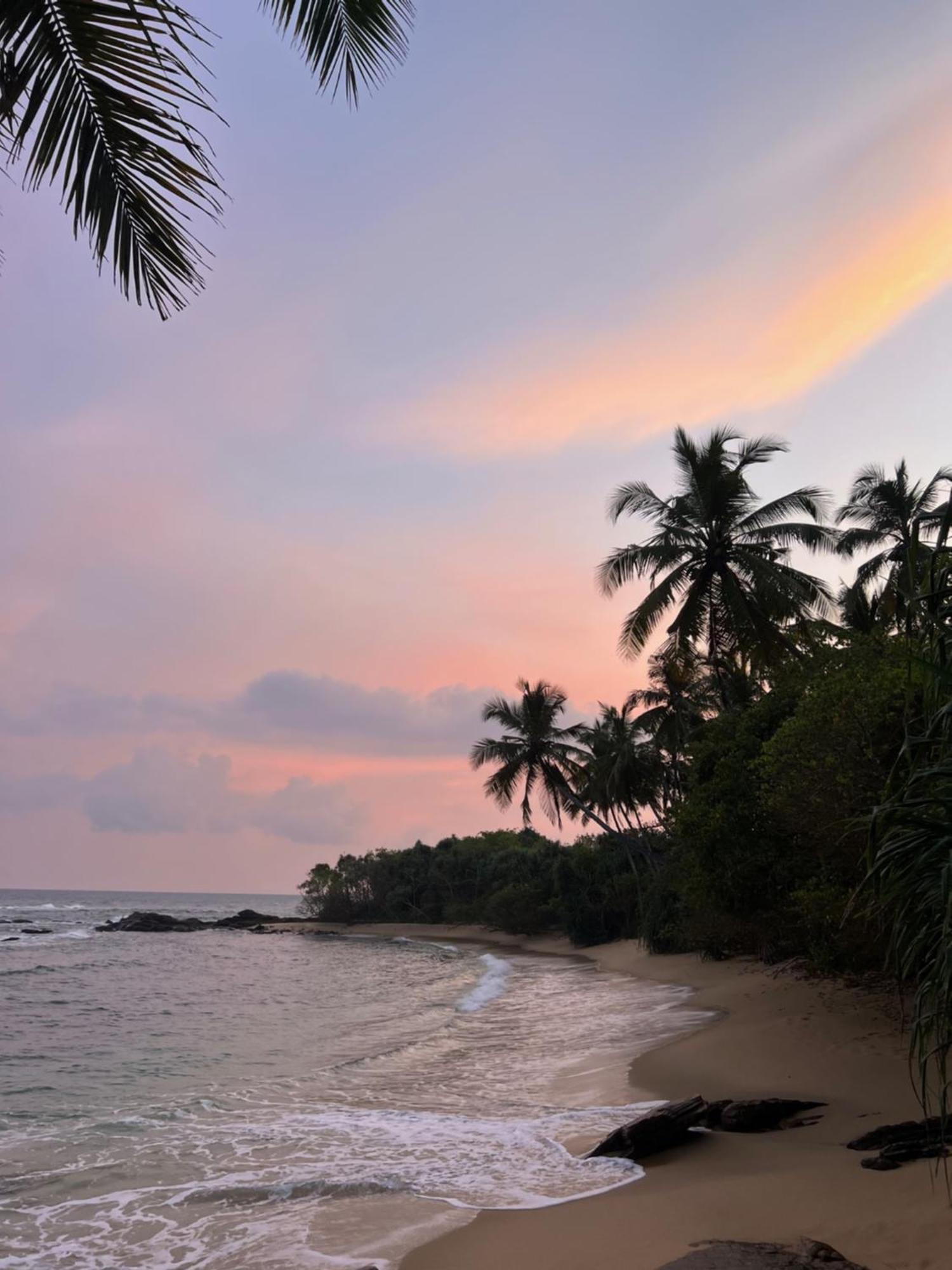 Into The Blue - Yoga Included & Walk To 3 Beaches 坦加拉 外观 照片