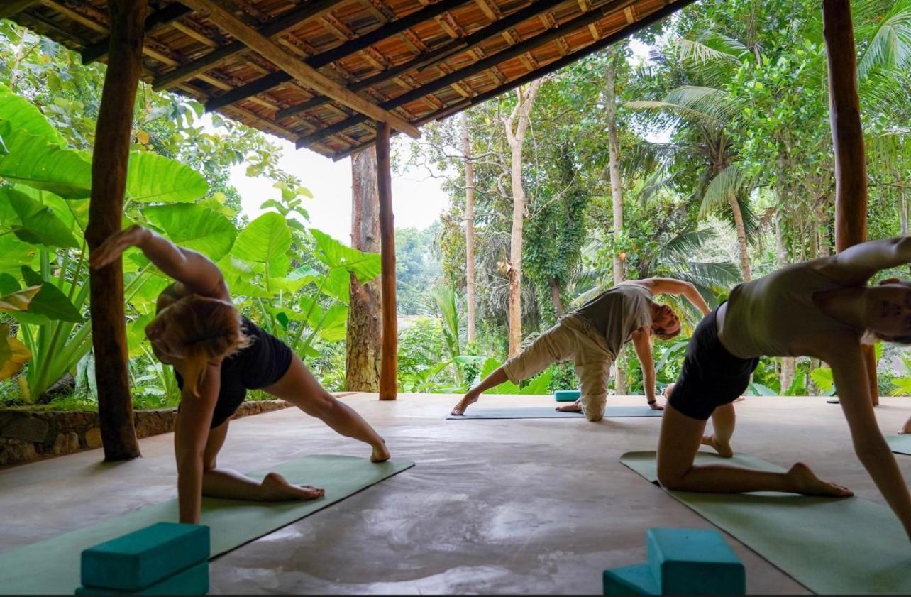 Into The Blue - Yoga Included & Walk To 3 Beaches 坦加拉 外观 照片